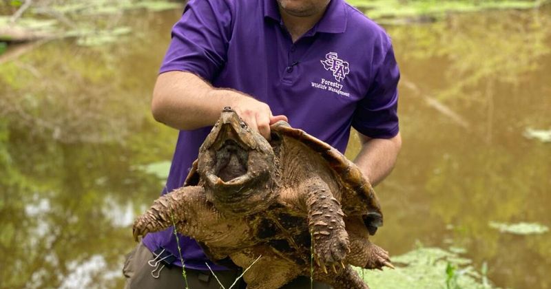 Role Of Zoos And Wildlife Sanctuaries In Preservation
