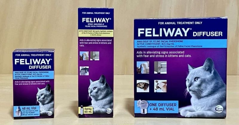 Try Calming Pheromone Products