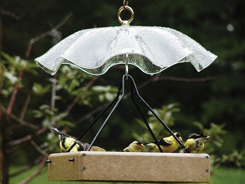 Protection from Weather