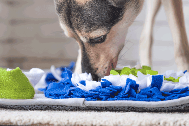 Scent-Based Enrichment