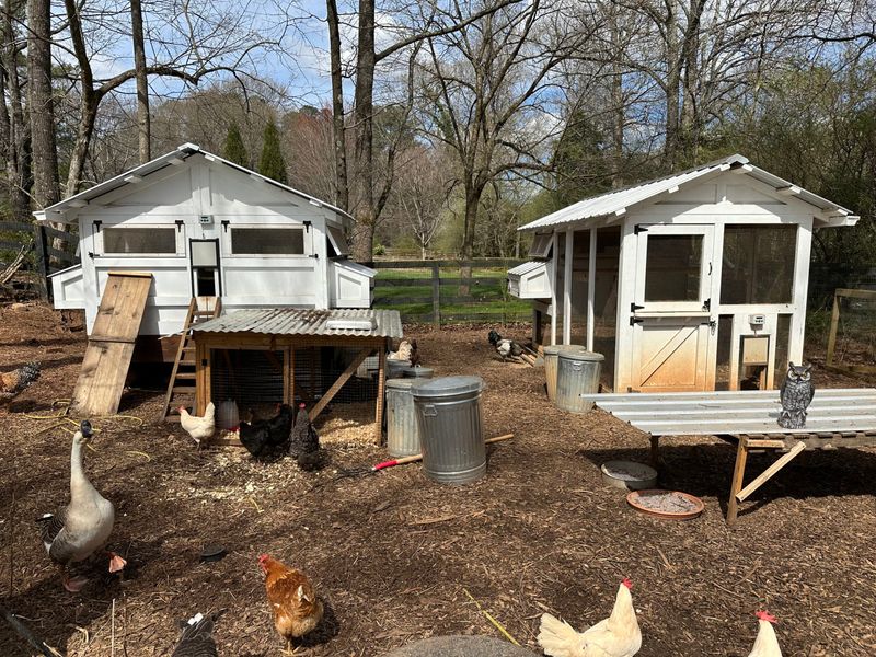 Floating Pond Coop