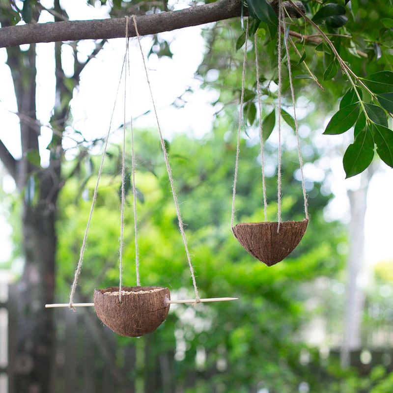 Coconut Shell Swing