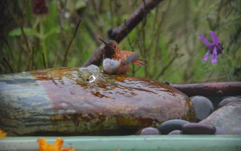 Rock Fountain Birdbath