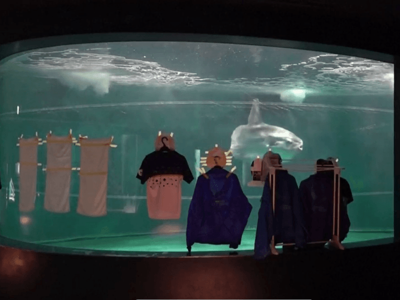Lessons Learned: Creative Solutions For Animal Care
