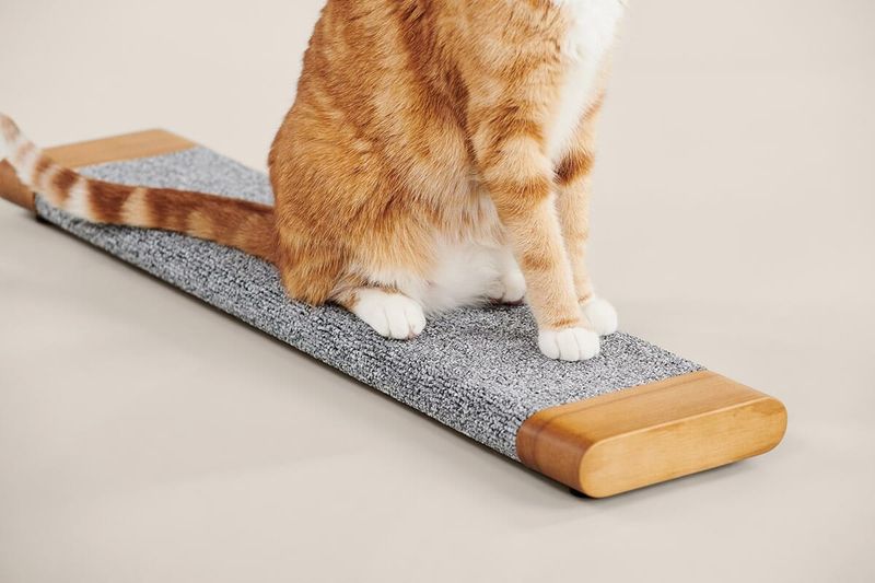 Scratching Post Or Pad