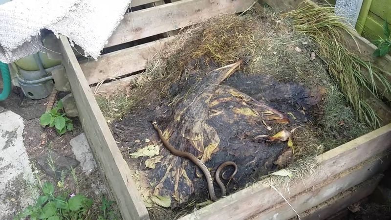 Compost Heaps And Bins