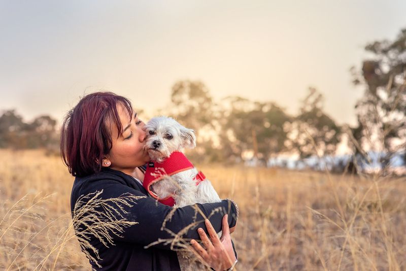 Arrange A Professional Photo Session