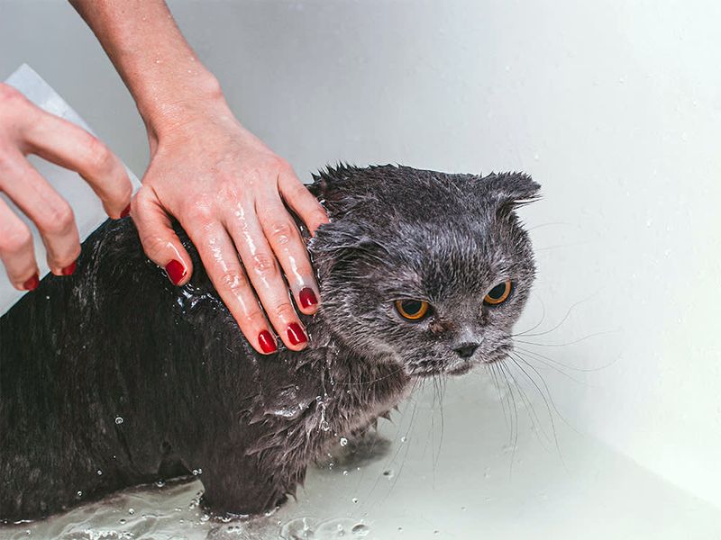 Use Lukewarm Water Only