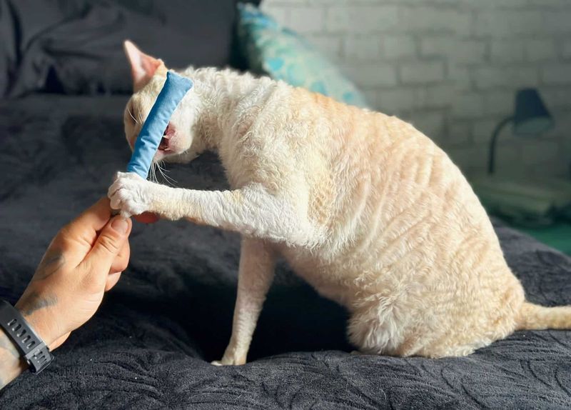 Encourage Gentle Play