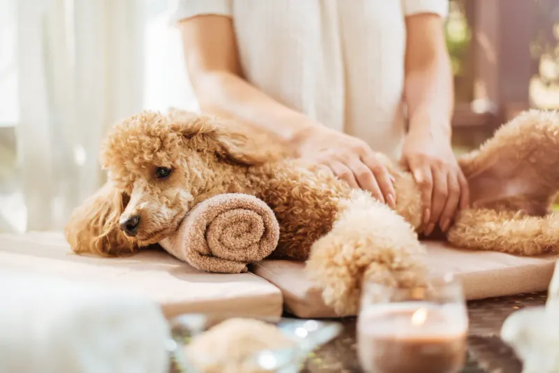 Give Gentle Massages