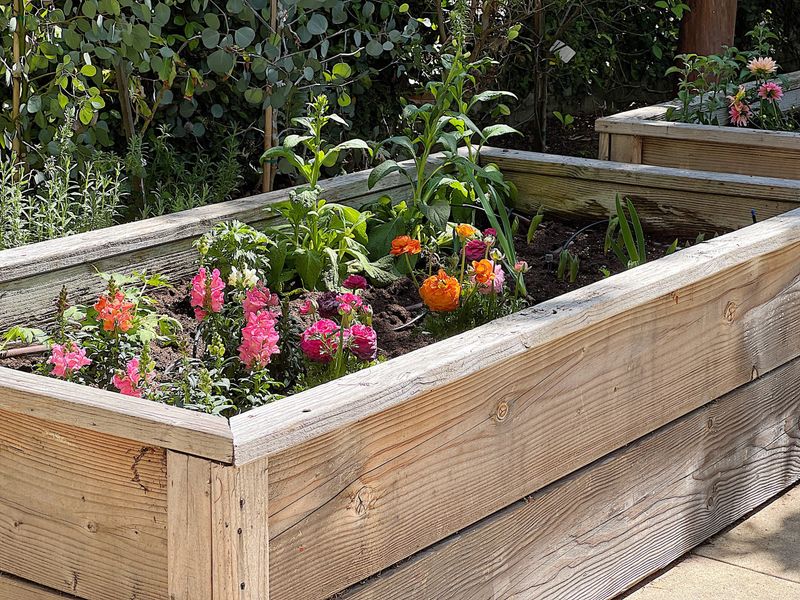 Create Raised Garden Beds
