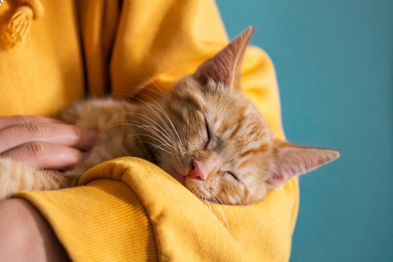 Warmth And Touch Without Overstimulation