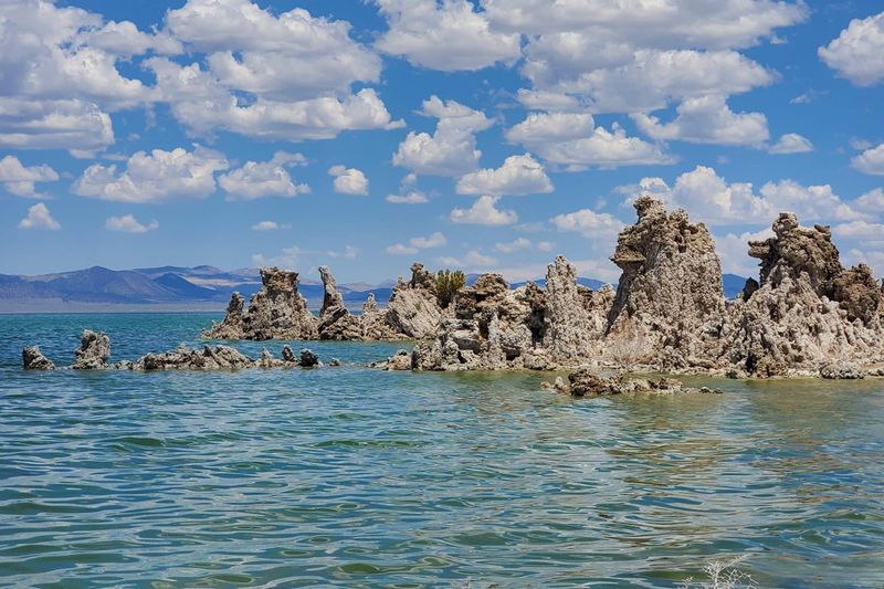 Mono Lake's Extreme Conditions