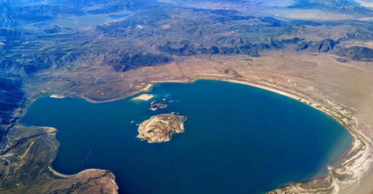 Creature Discovered In California Lake Reveals Evolutionary Secrets From 650 Million Years Ago