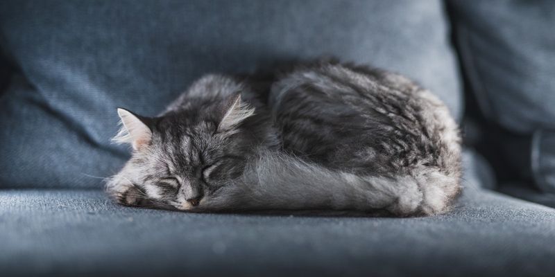 Light Vs. Deep Sleep Differences