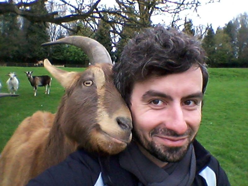 Goats Prefer Happy Human Faces