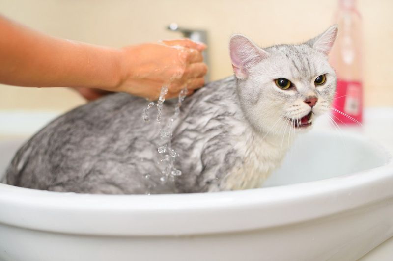 Water Touches Trigger Panic Mode