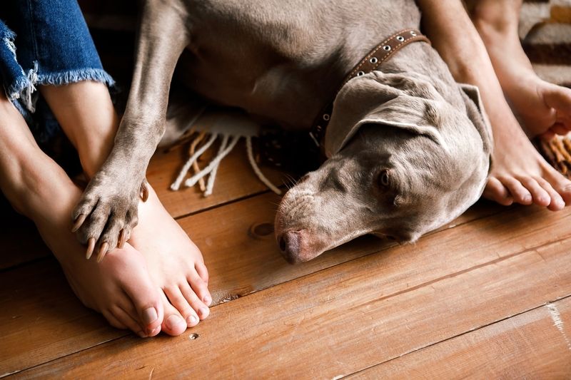 Sitting On Your Feet