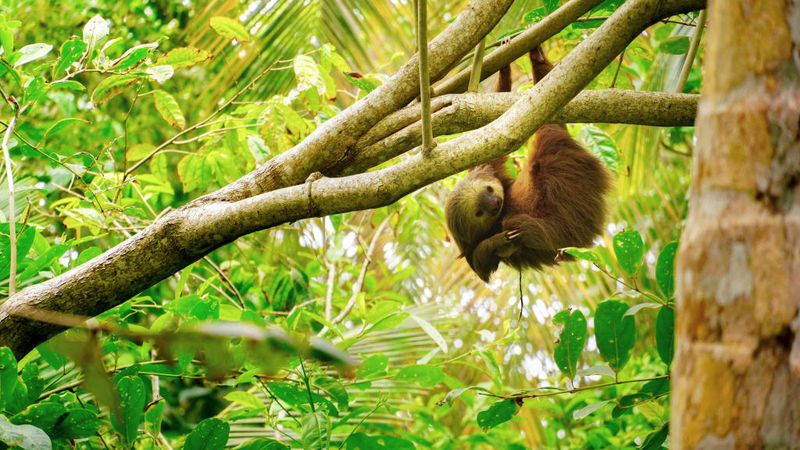 Ecosystem Services and Economic Benefits