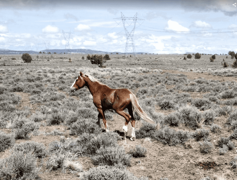 Nutrient Cycling Slows Significantly