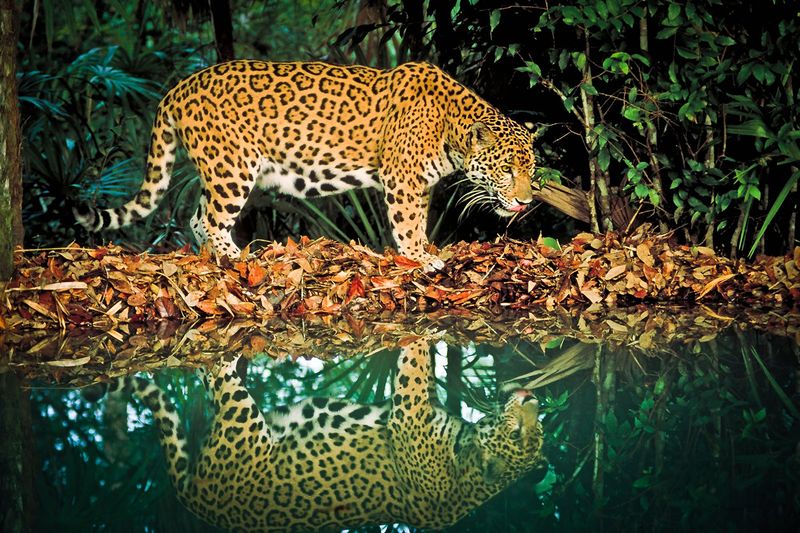 Ecotourism Revenue Generation