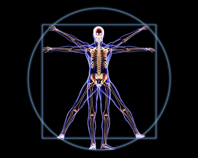 Could Limb Regeneration Revolutionize Medicine?