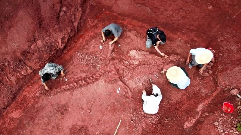 Surprising Chinese Discoveries