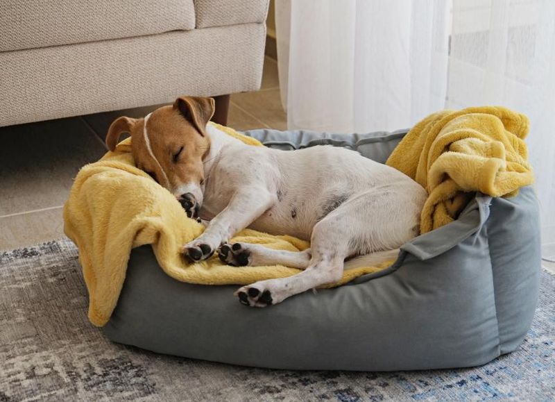 Cozy Resting Spot