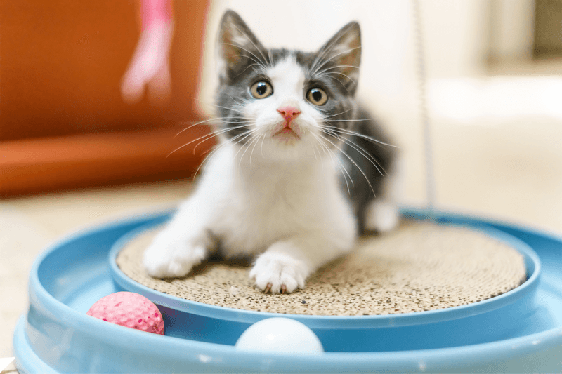 Solo Playtime Spaces