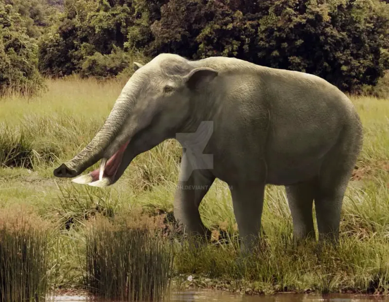 Platybelodon – The Shovel-Tusked Swamp Feeder