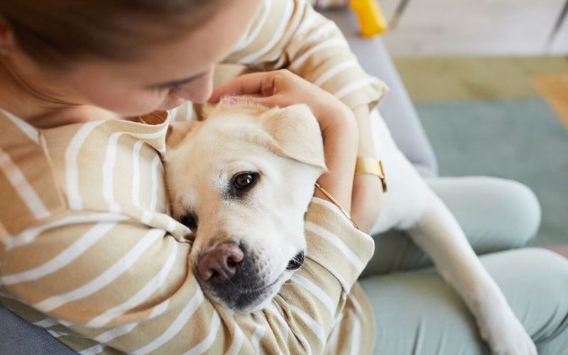 Calm Cuddle Sessions Without Distractions