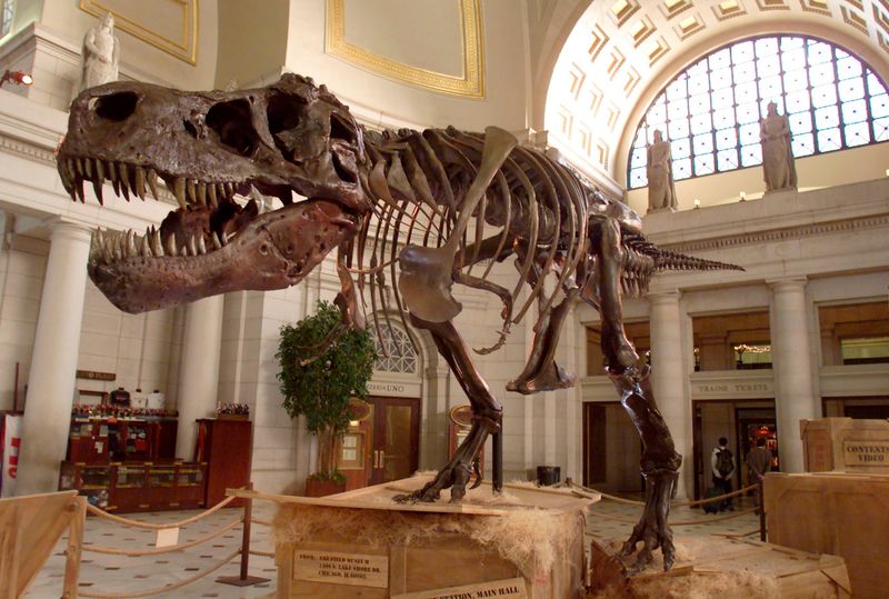 T. Rex Could Roar Like In Jurassic Park