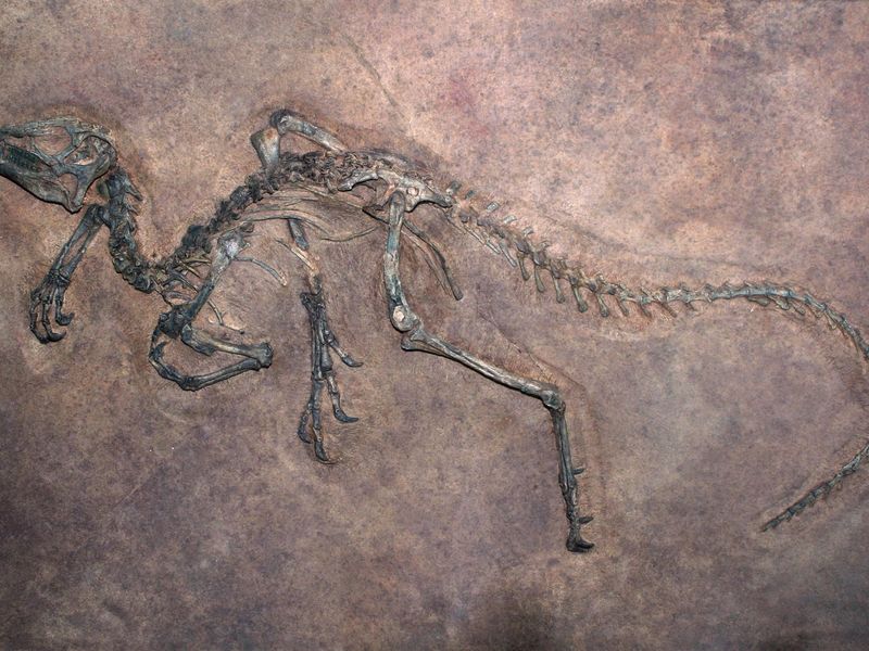 Dinosaurs Went Extinct Because Mammals Ate Their Eggs