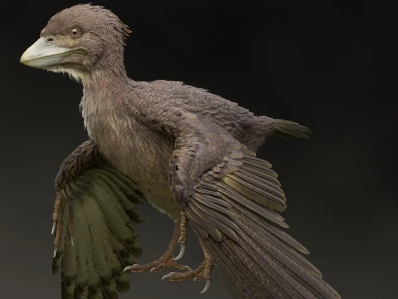 Dinosaurs Were Evolutionary Failures