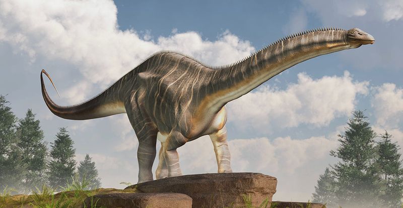 Brontosaurus Never Actually Existed