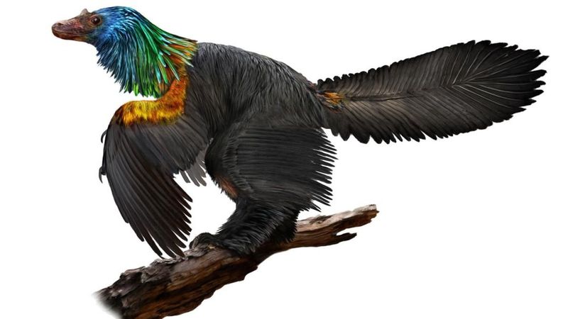 We Actually Know What Colors Some Dinosaurs Were