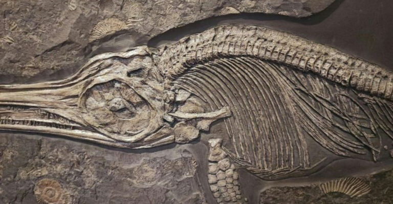 Dinosaurs Weren’t Alone: Surprising Discovery Shows Birds Nesting In The Arctic During Dinosaur Age