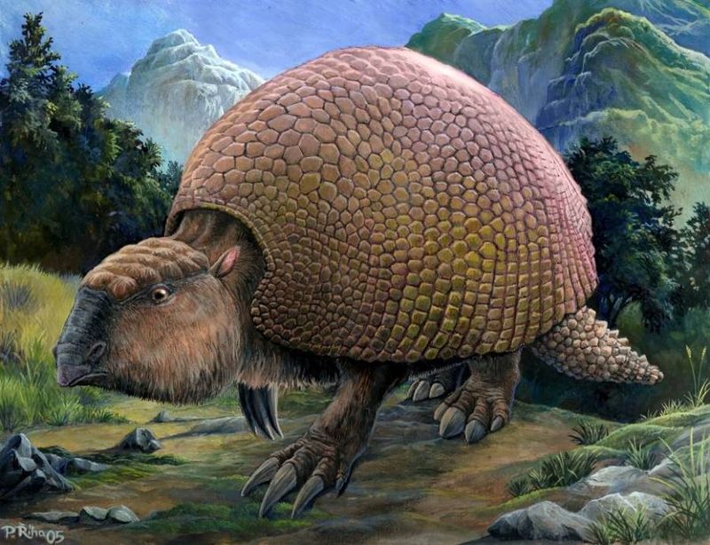 Glyptodon: The Volkswagen-Sized Armadillo