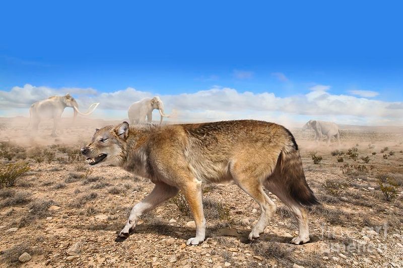 The Unique Connection To Early Humans