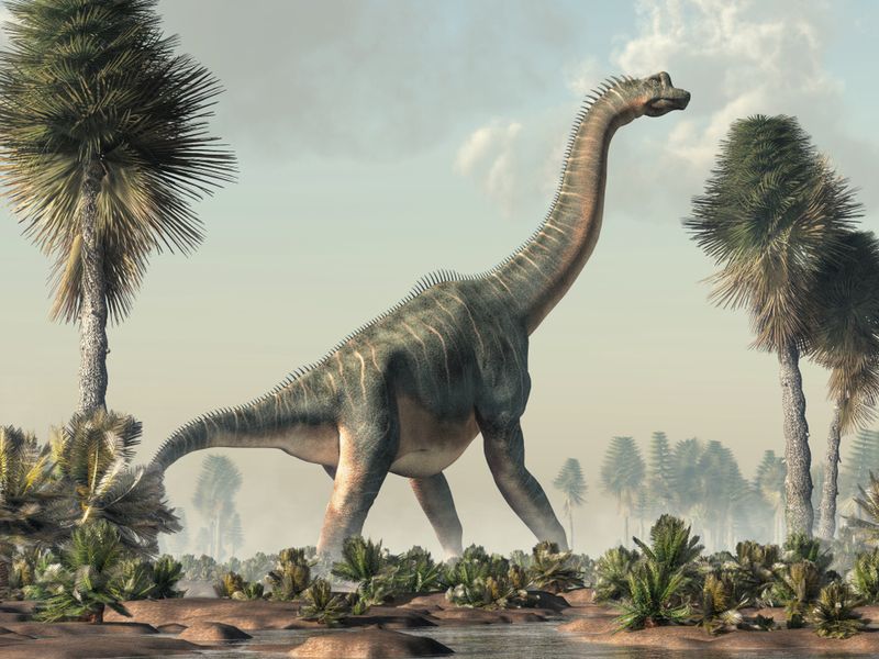 Study Confirms Long-Necked Dinosaurs Ate Plants