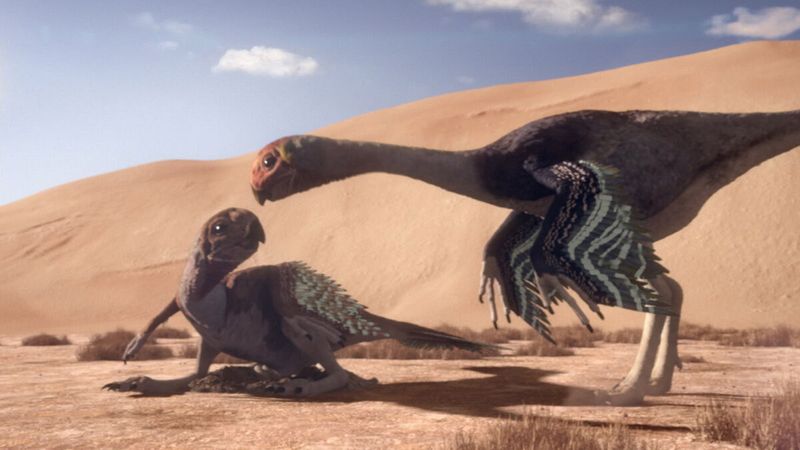 The Extinction Mystery