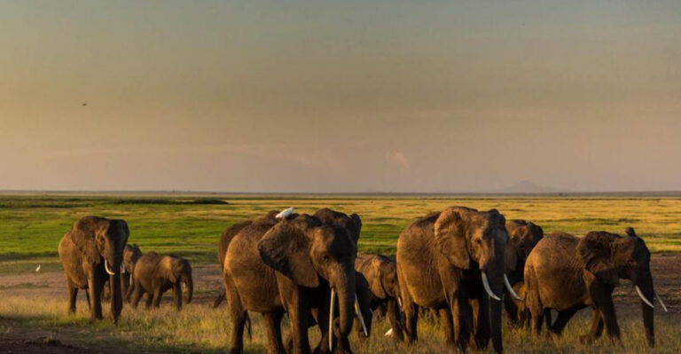 Discovering The Untamed Beauty Of East Africa
