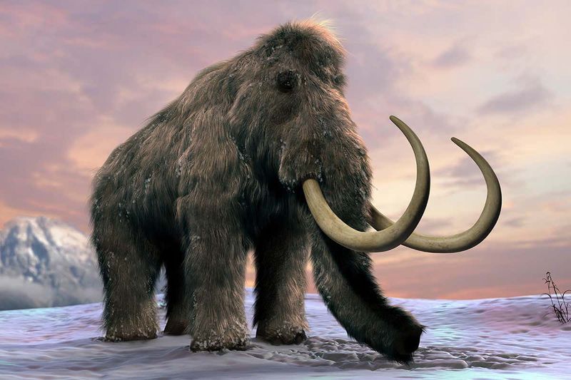 Bones Found In What Was Once A Shallow Lakebed