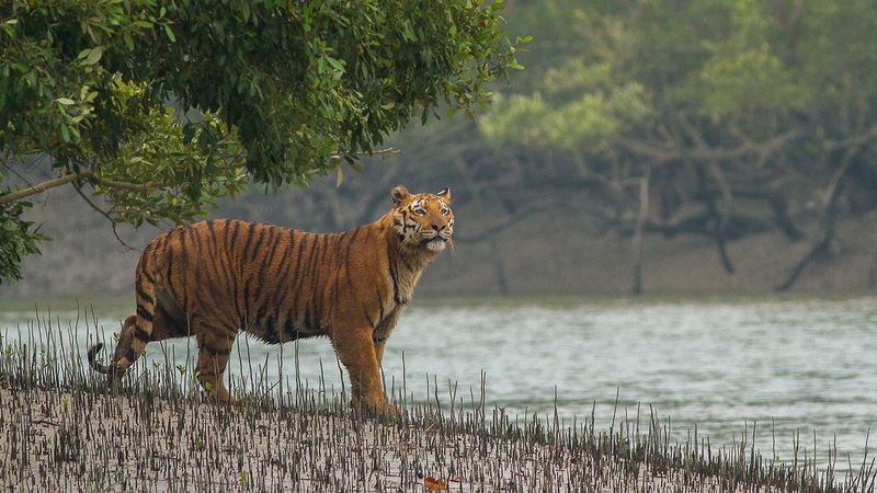 Biodiversity Hotspot Creators