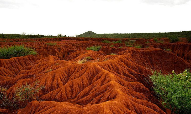 Soil Quality Deteriorates