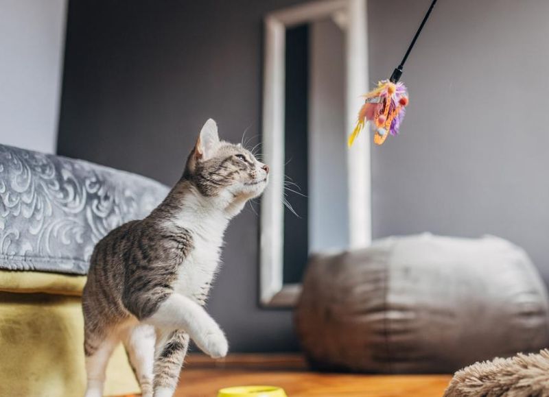Skipping Playtime Sessions