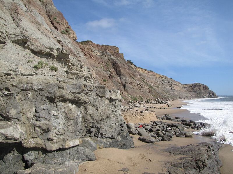 Lourinhã Formation Treasure