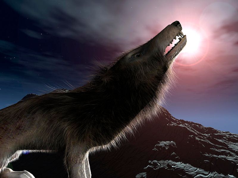 Surprisingly Long Evolutionary Success Story