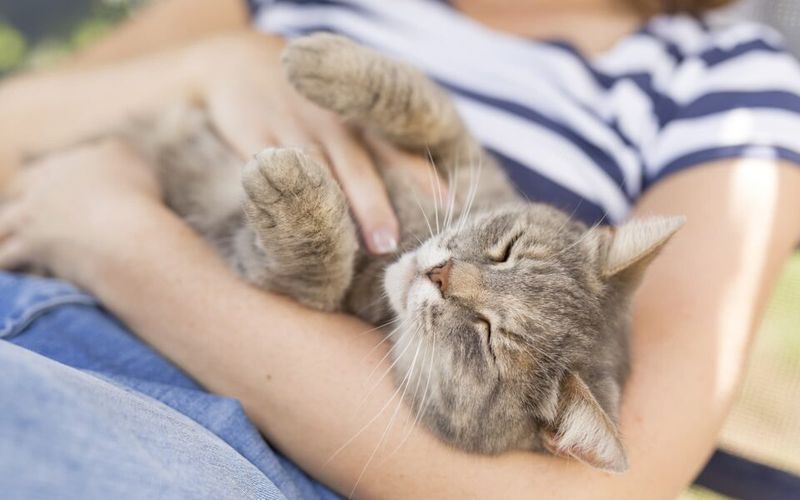 Stress-Busting Cuddle Sessions