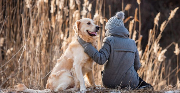 Do Pets Improve Or Worsen Your Mental Health?